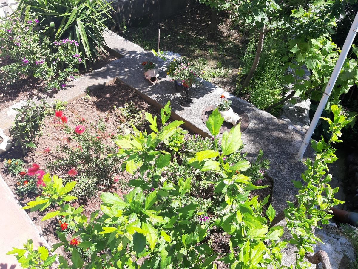 Гостевой дом Apartments Marina Петровац-45